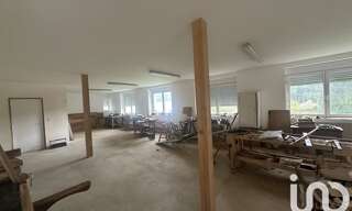 Appartement 1 Pièce 108 m² à vendre à Seppois-le-Bas (68580)