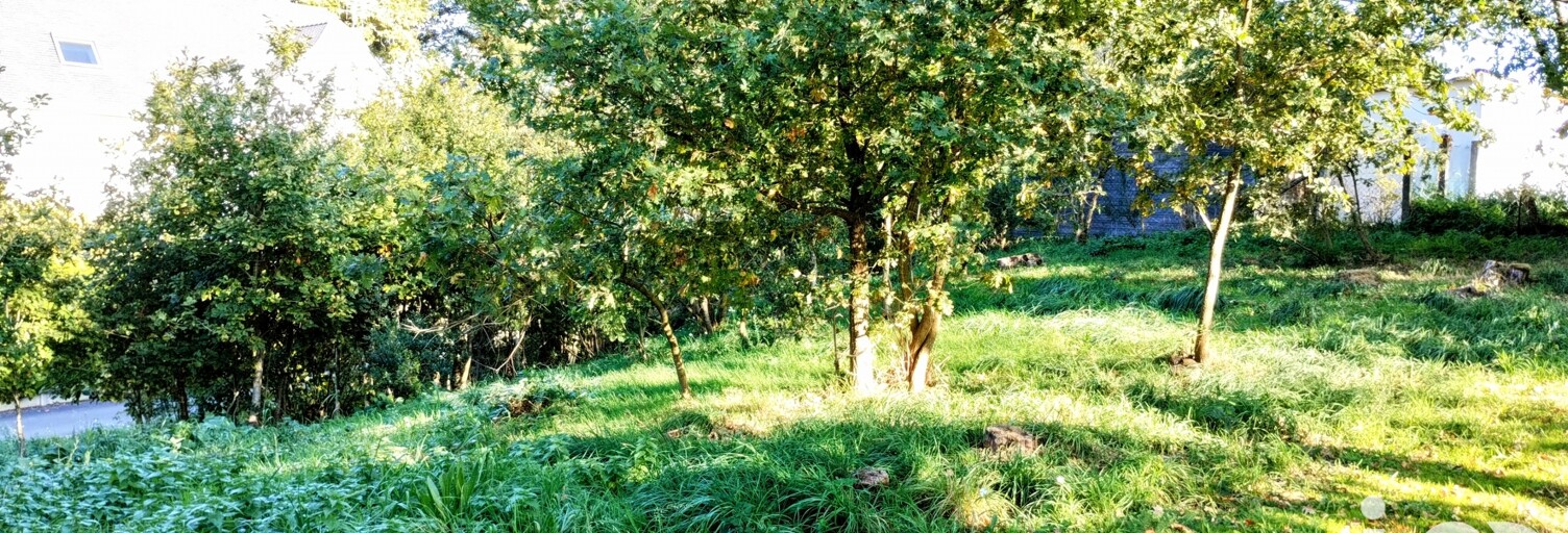 Terrain  487 m² à vendre à Savenay (44260)