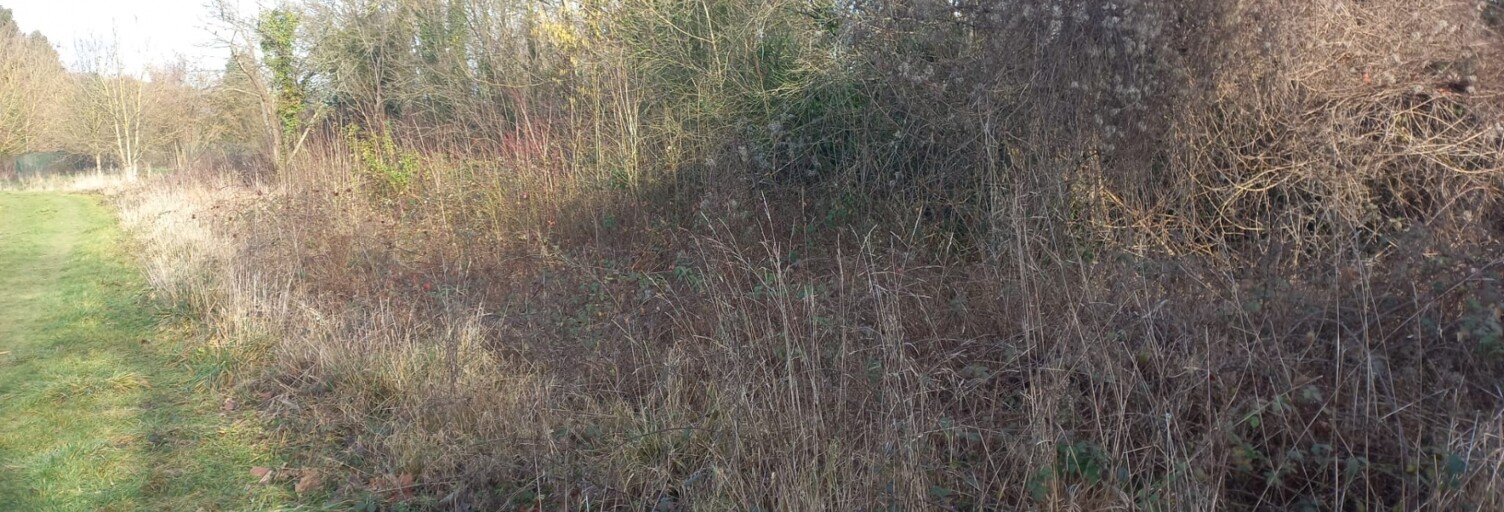 Terrain  7300 m² à vendre à Citry (77730)