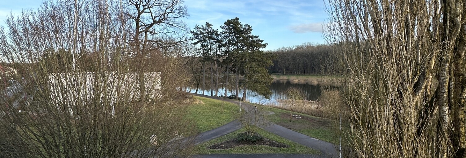 Appartement 3 Pièces 160 m² à vendre à Creutzwald (57150)