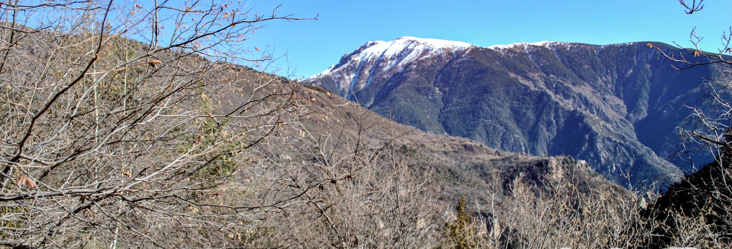 Maison 3 Pièces 31 m² à vendre à Roubion (06420)