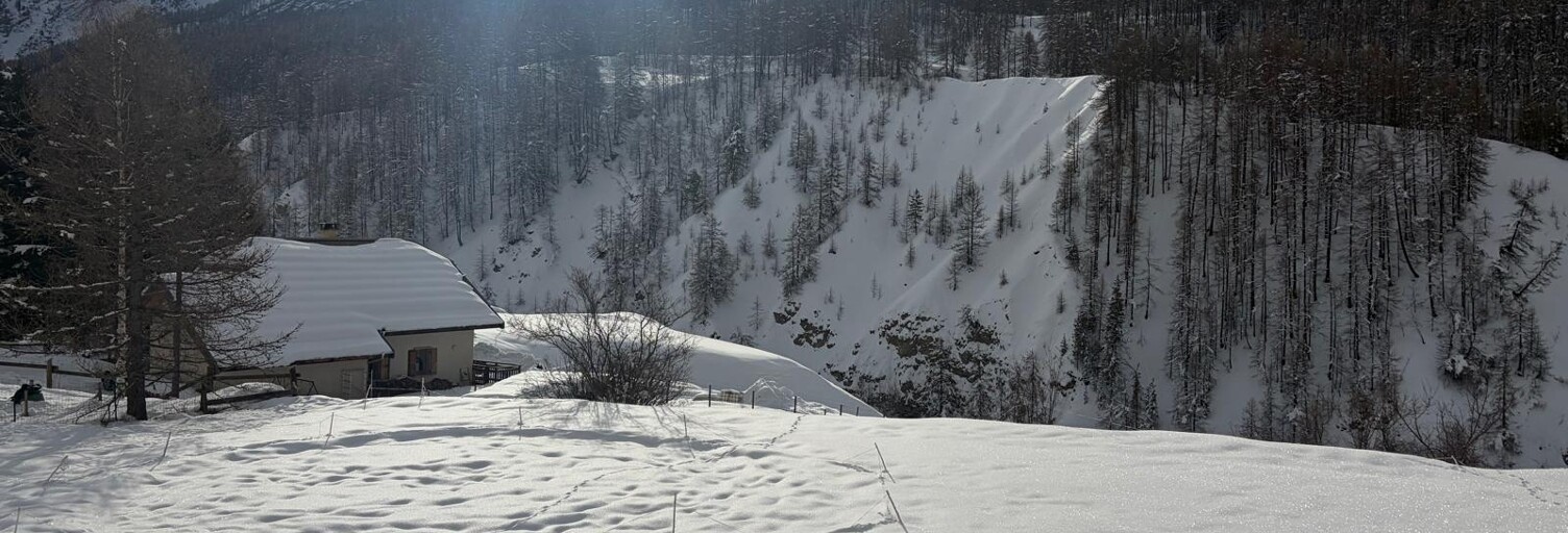 Photo N° 2