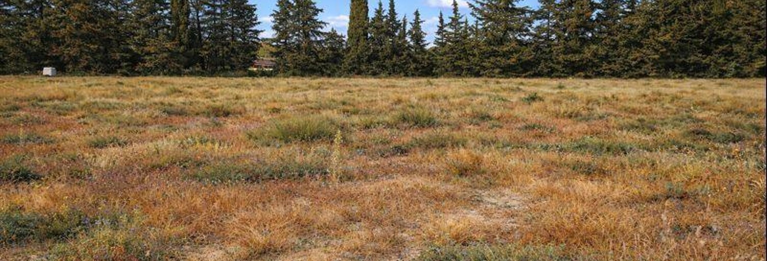 Terrain  1188 m² à vendre à Saint-Paul-Trois-Châteaux (26130)