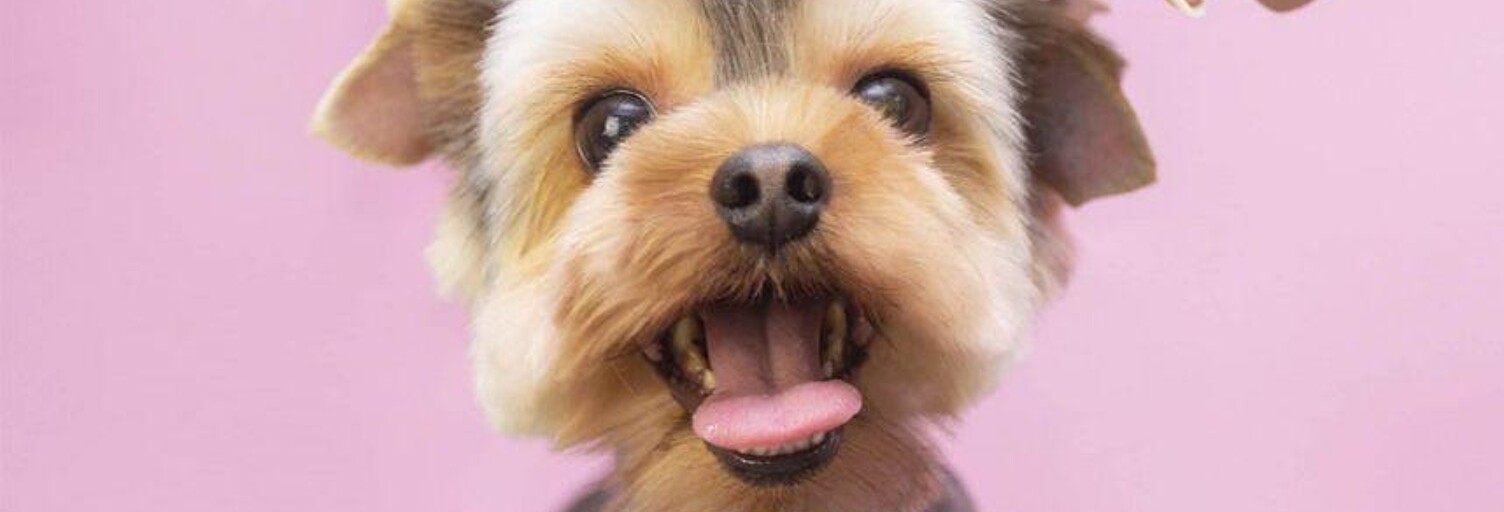 Commerce  65 m² à vendre à Saint-Ouen-l'Aumône (95310)