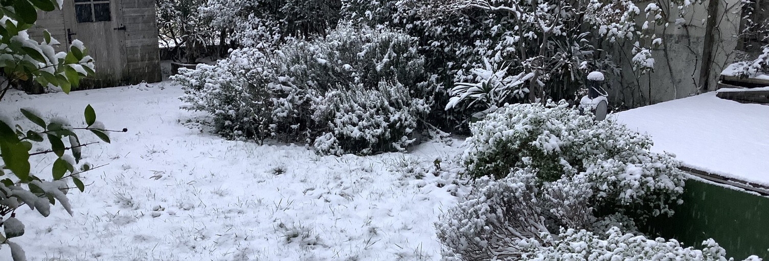 Appartement 3 Pièces 75 m² à vendre à Paris 14 (75014)