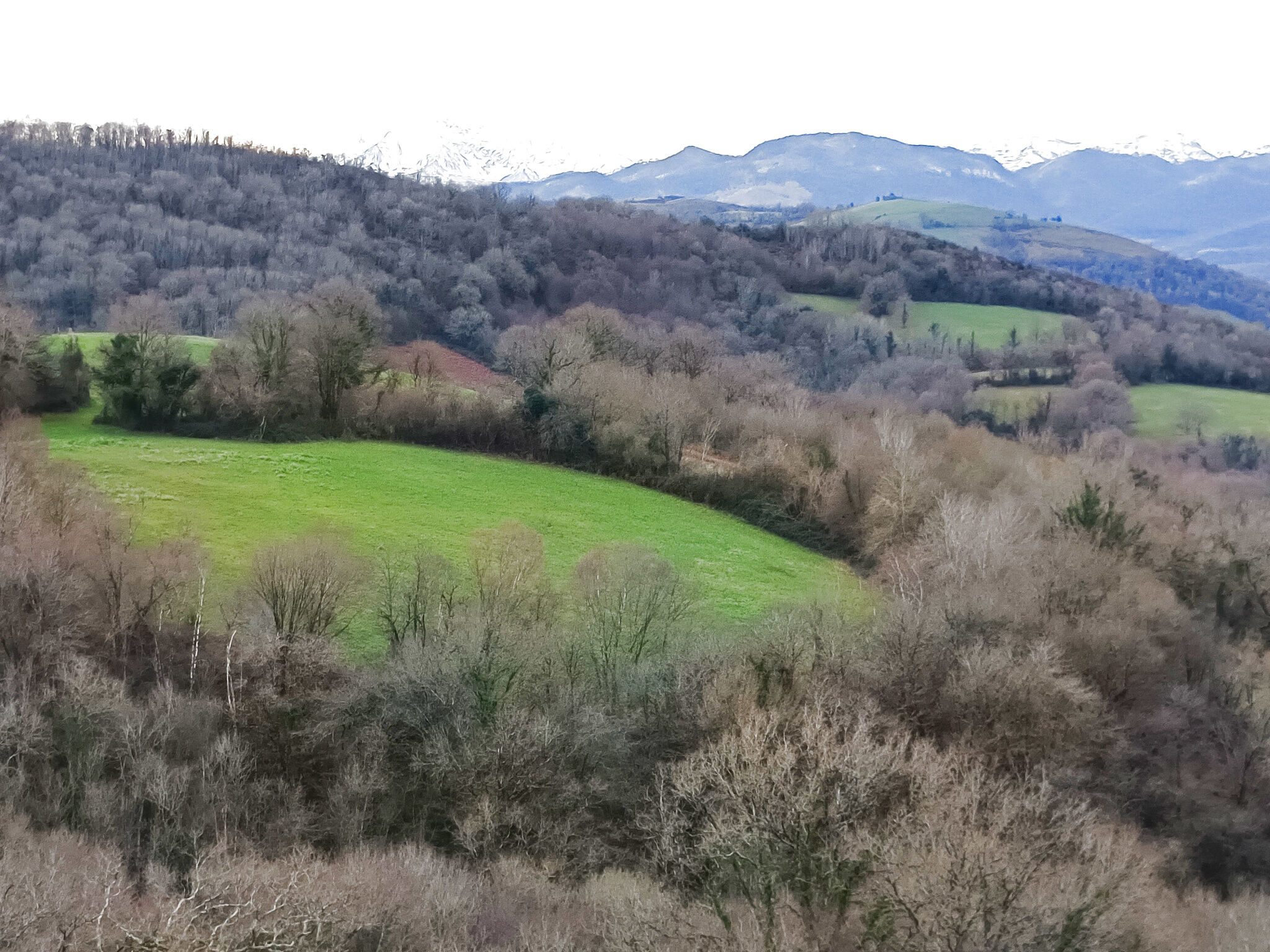 Terrain  à vendre Moncayolle-Larrory-Mendibieu 64130