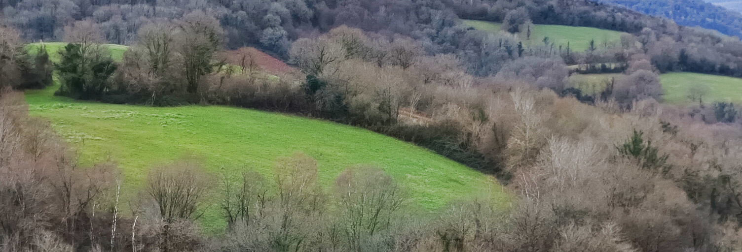 Terrain  2005 m² à vendre à Moncayolle-Larrory-Mendibieu (64130)