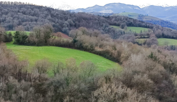 Terrain  à vendre Moncayolle-Larrory-Mendibieu 64130