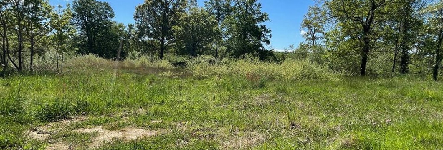 Terrain  920 m² à vendre à Urcuit (64990)