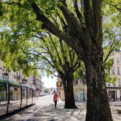 Appartement 3 pièces 1130 €