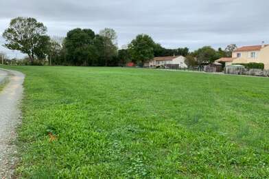 Terrain  40000 €