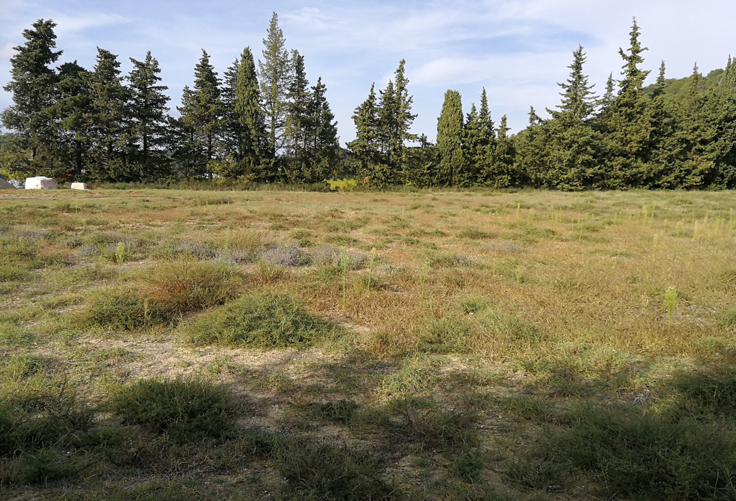 SAINT PAUL TROIS CHÂTEAUX - Terrain à bâtir viabilisé de 118 — photo 1