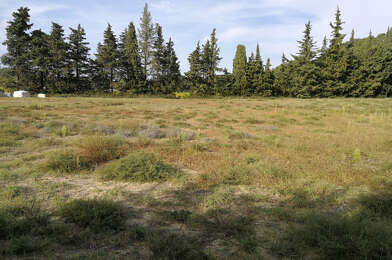 Terrain  182600 €