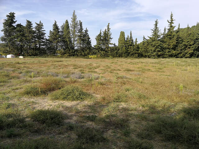 SAINT PAUL TROIS CHÂTEAUX - Terrain à bâtir viabilisé de 118 — photo du bien
