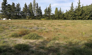 Terrain  1188 m² à vendre à Saint-Paul-Trois-Châteaux (26130)