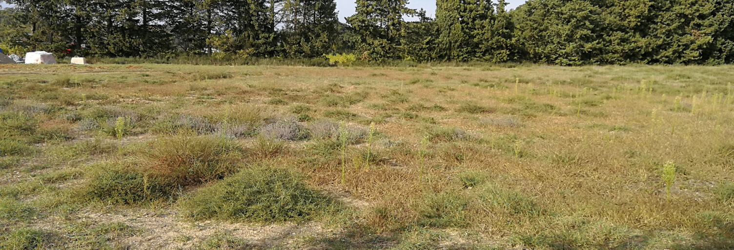 Terrain  1188 m² à vendre à Saint-Paul-Trois-Châteaux (26130)