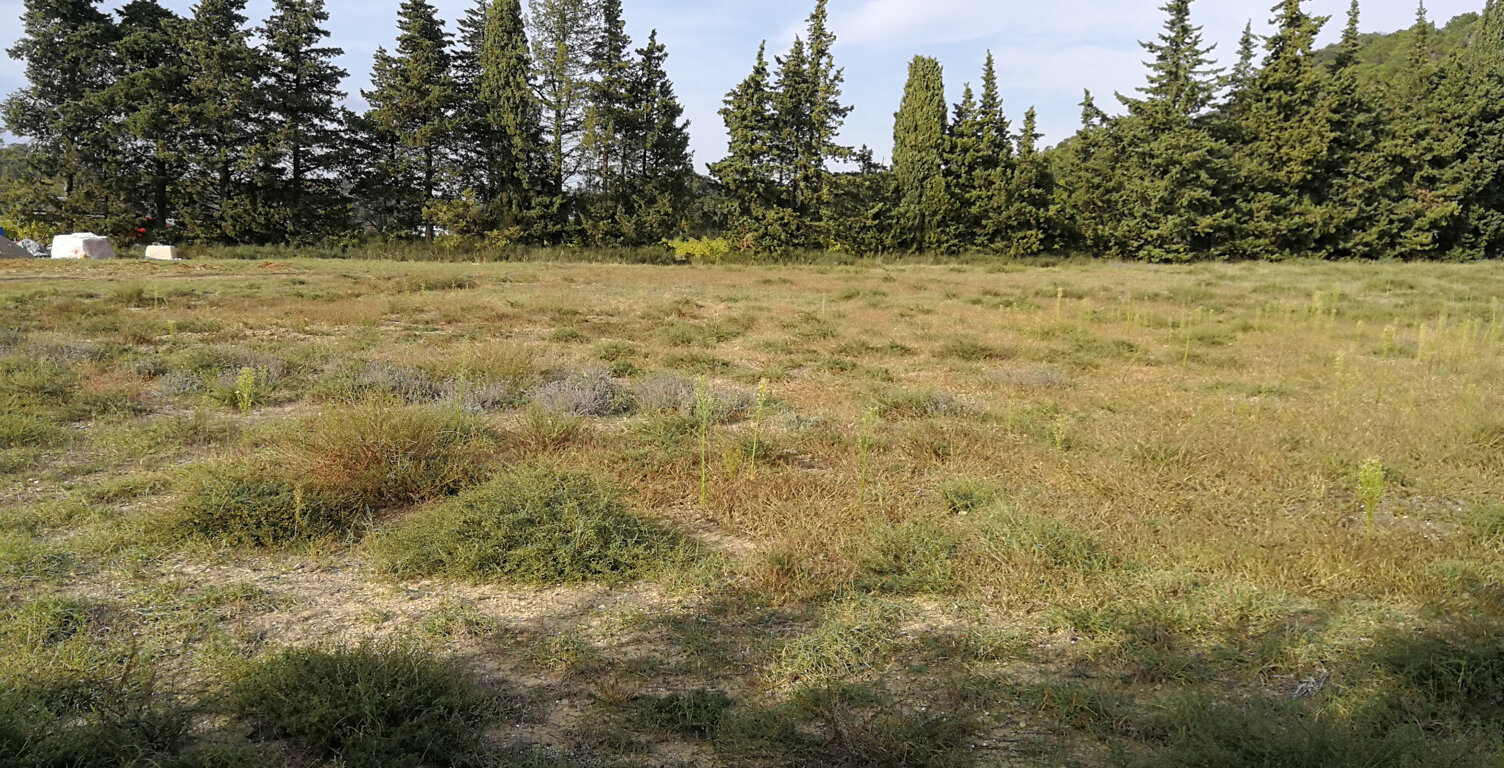 SAINT PAUL TROIS CHÂTEAUX - Terrain à bâtir viabilisé de 118 — photo 1