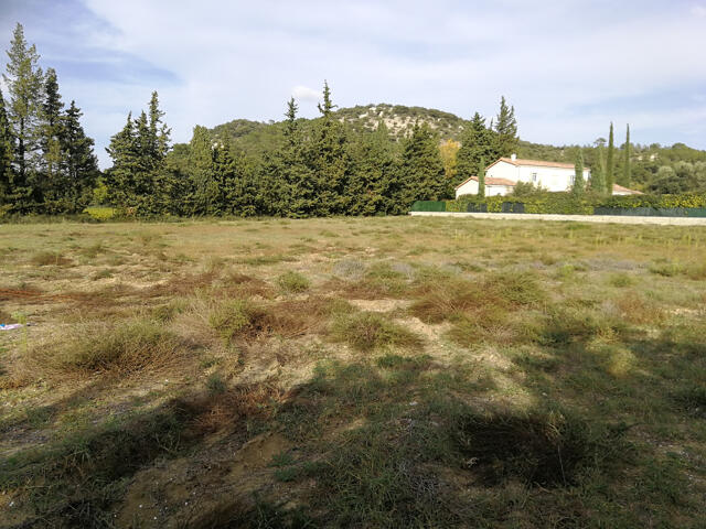 Terrain proposé à Saint-Paul-Trois-Châteaux