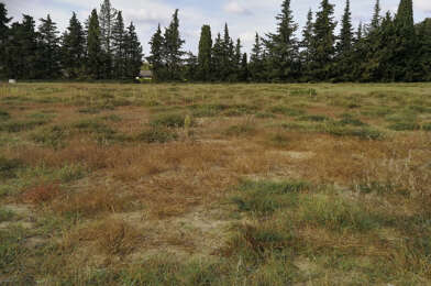 Terrain  195000 €