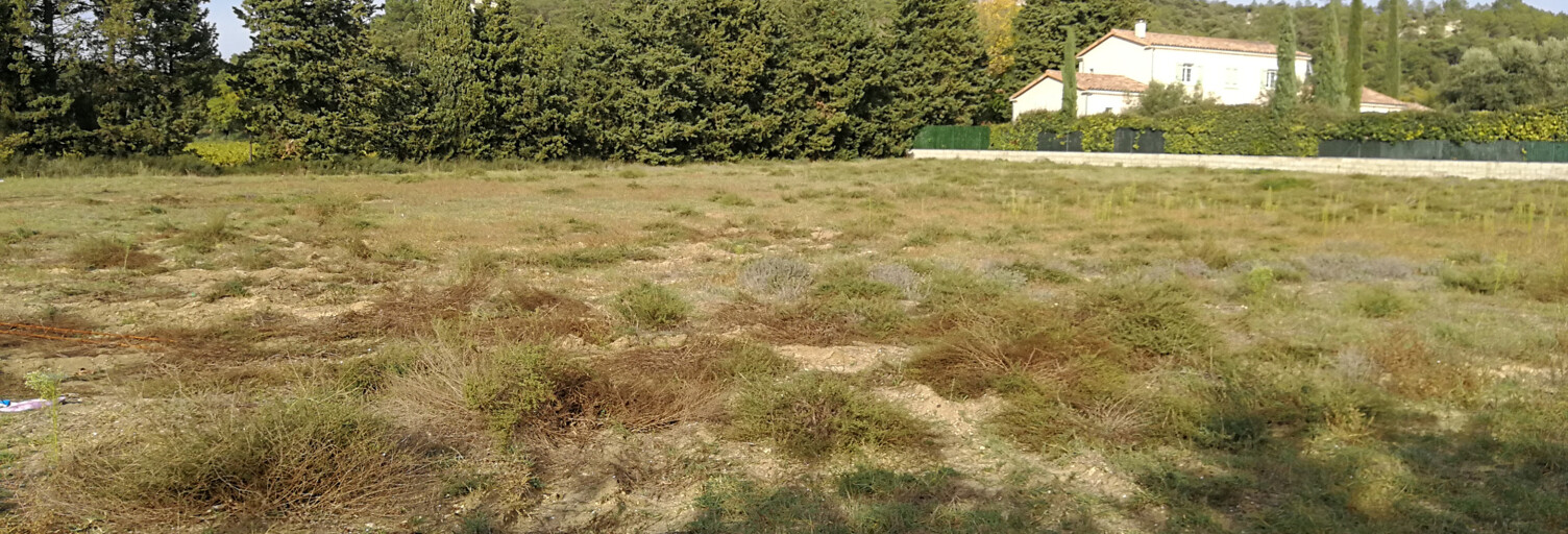 Terrain  1488 m² à vendre à Saint-Paul-Trois-Châteaux (26130)