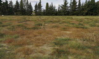 Terrain  1339 m² à vendre à Saint-Paul-Trois-Châteaux (26130)