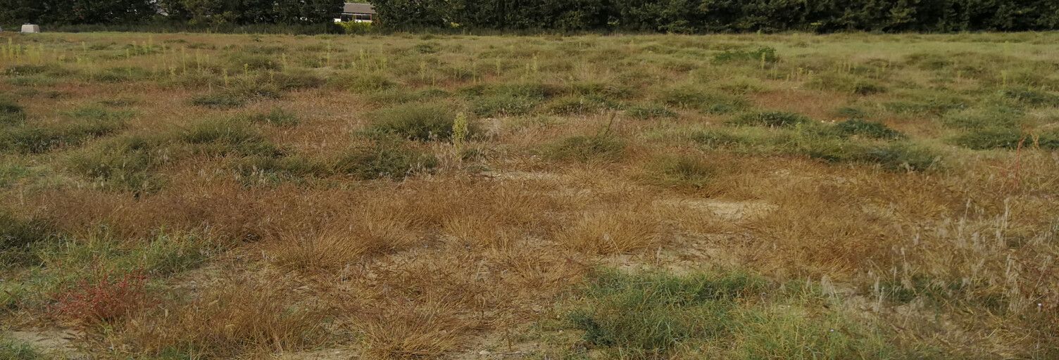 Terrain  1339 m² à vendre à Saint-Paul-Trois-Châteaux (26130)