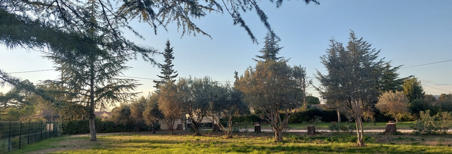 Terrain  884 m² à vendre à Carpentras (84200)