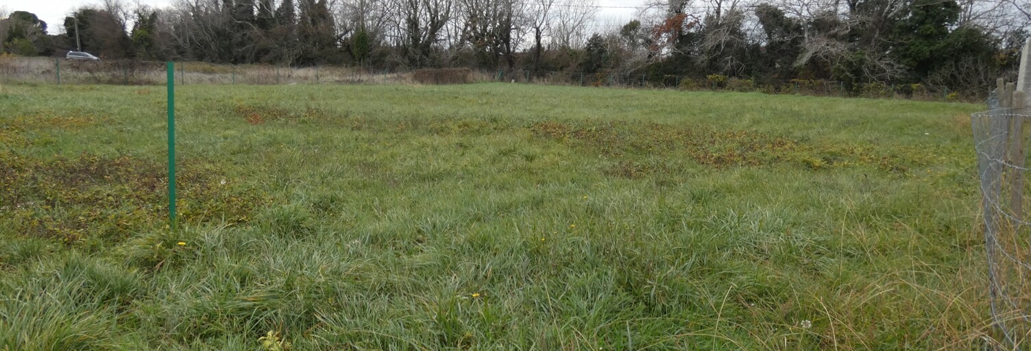 Terrain  1700 m² à vendre à Donzère (26290)