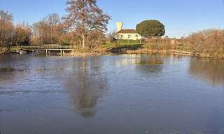 Maison 4 Pièces 90 m² à vendre à Cléré-sur-Layon (49560)