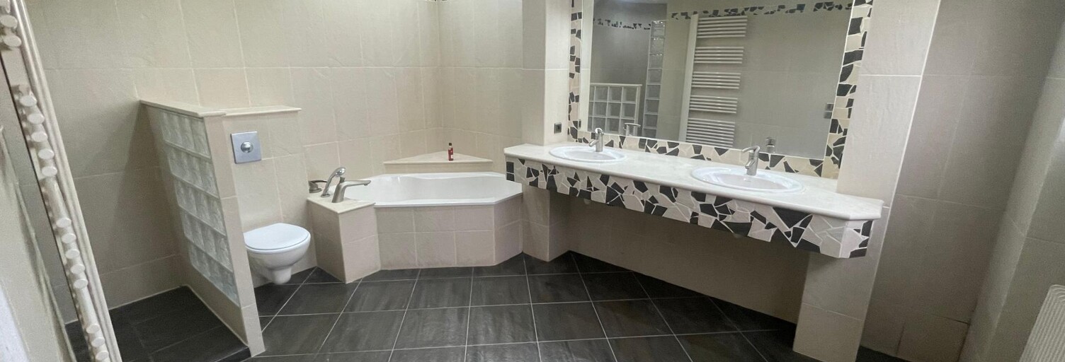 Maison 8 Pièces 210 m² à vendre à Sarralbe (57430)