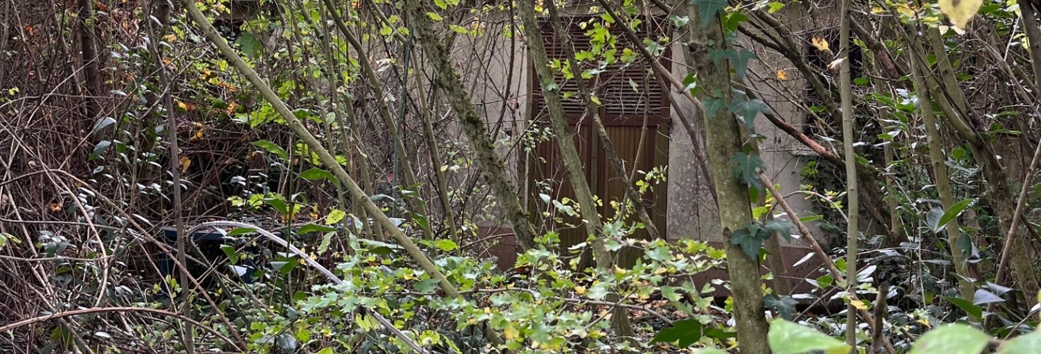 Terrain  2957 m² à vendre à Orléans (45000)