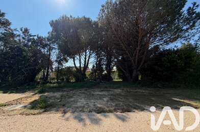 Terrain  195520 €