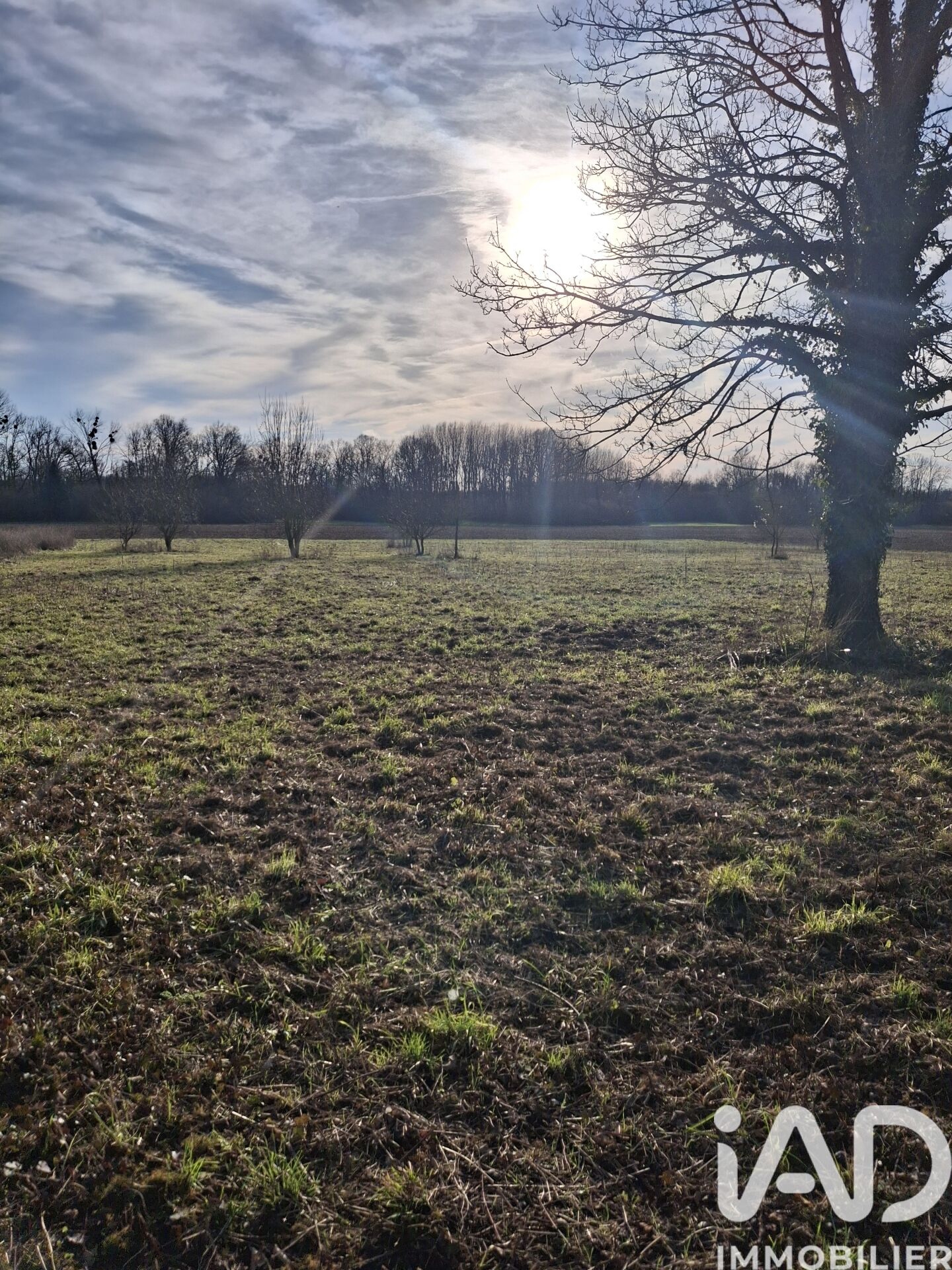 Plancy-L-Abbaye - 10024m²