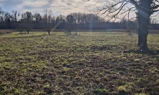 Terrain  10024 m² à vendre à Viâpres-le-Petit (10380)