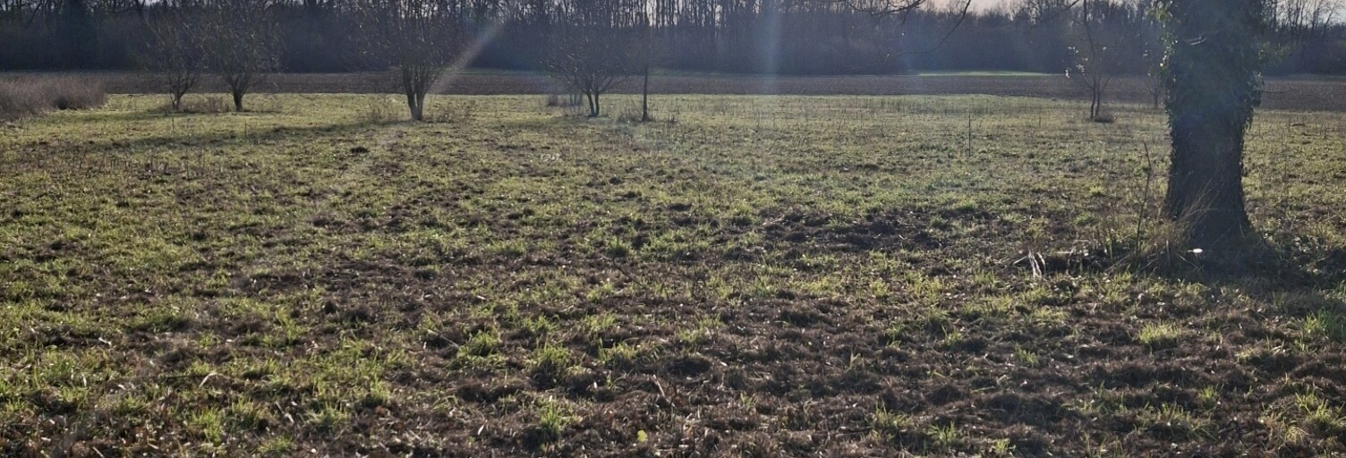 Terrain  10024 m² à vendre à Viâpres-le-Petit (10380)