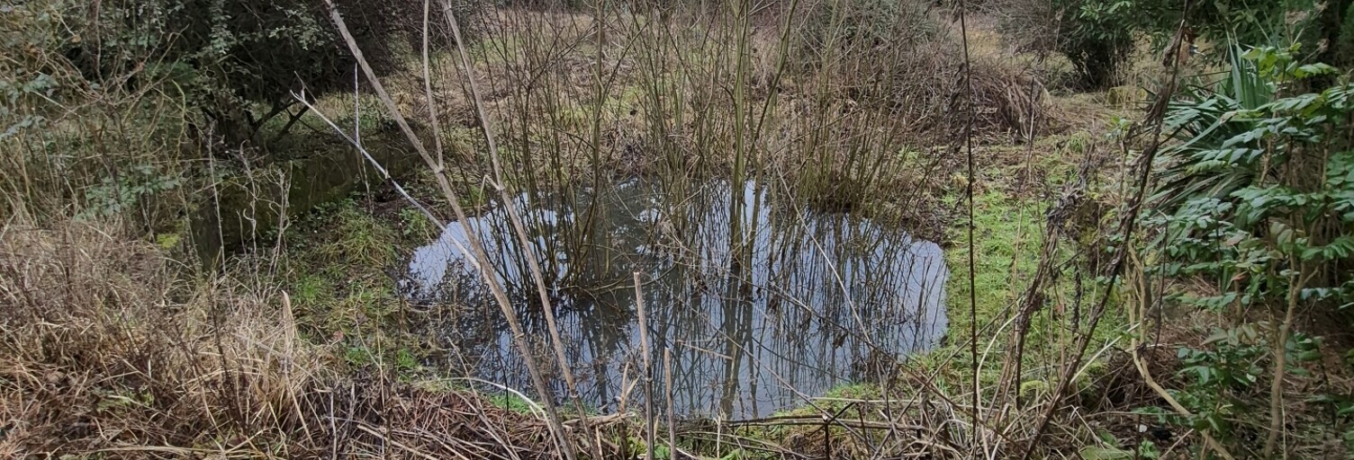 Terrain  3940 m² à vendre à Sainte-Geneviève (76440)