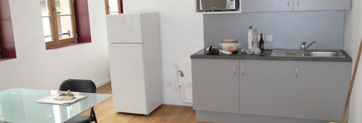 Appartement 1 Pièce 30 m² à louer à Saint-Étienne (42000)