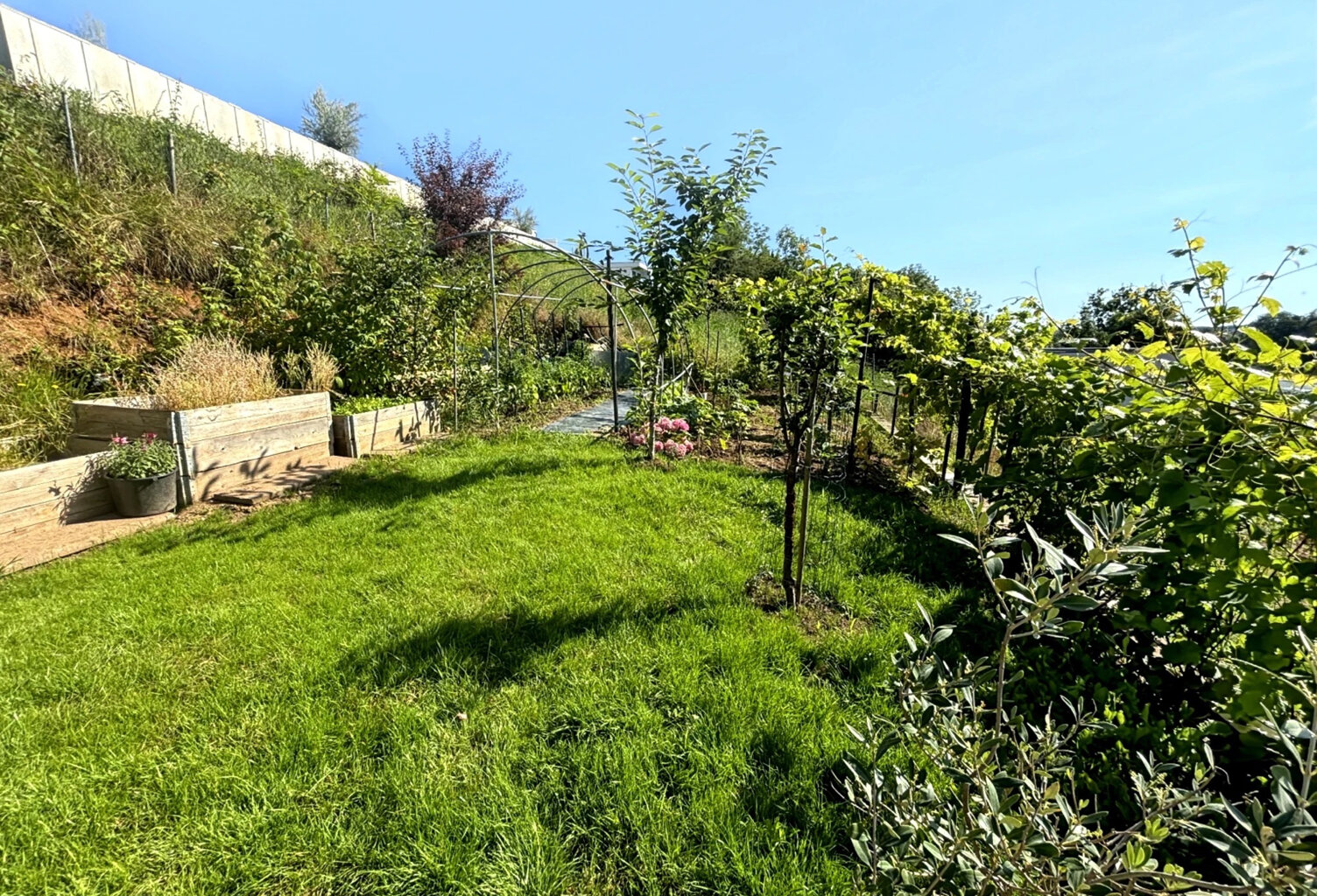 Maison SAVERNE 172 M2, 5 chambres — photo 1