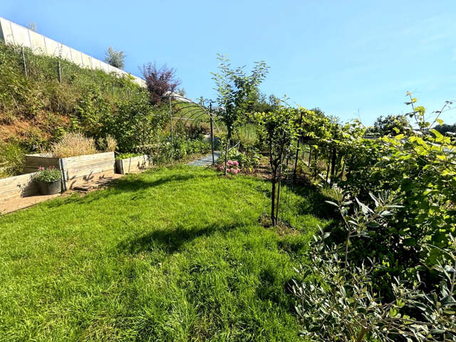 Maison SAVERNE 172 M2, 5 chambres — photo du bien