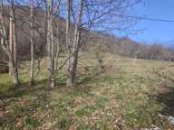 EXCLUSIVITÉ - MAISON DE CAMPAGNE PROCHE DE TOUT — photo 4