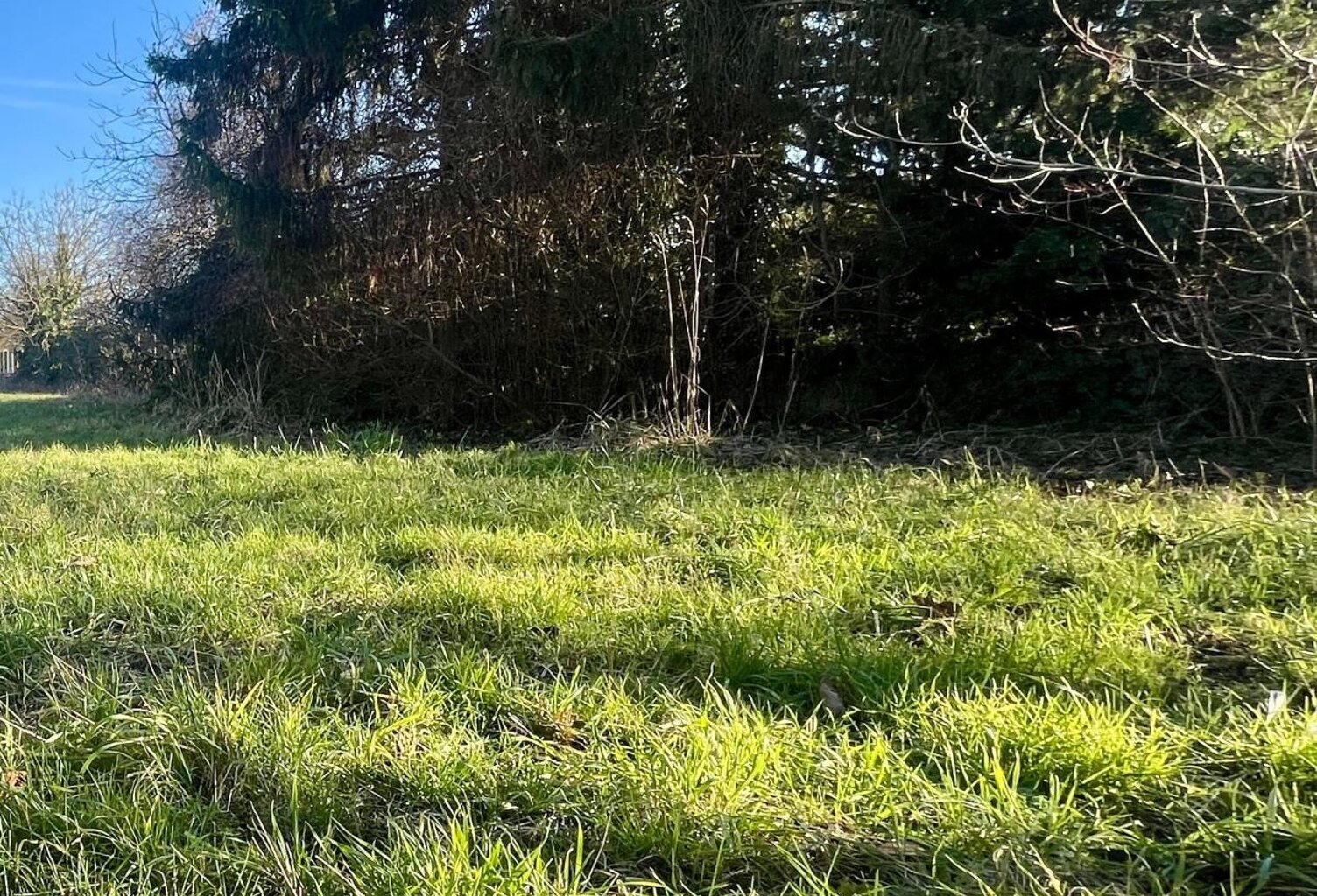 Terrain à bâtir 599 m²  Qualité de vie — photo 1