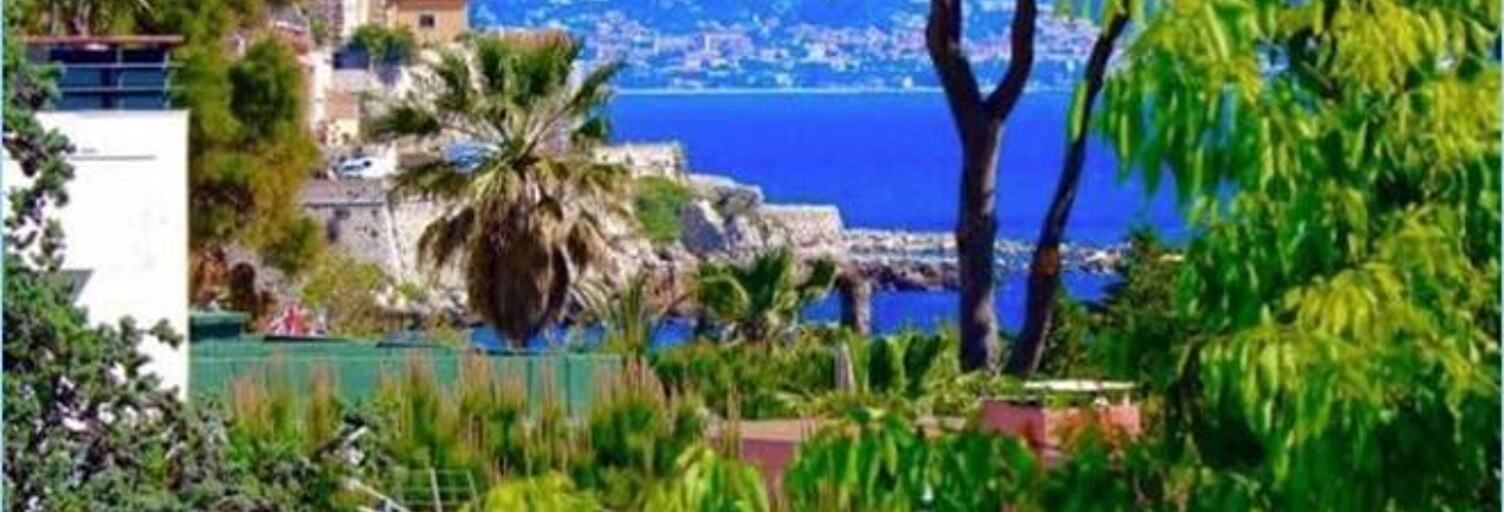 Commerce 1 Pièce 281 m² à vendre à Antibes (06600)