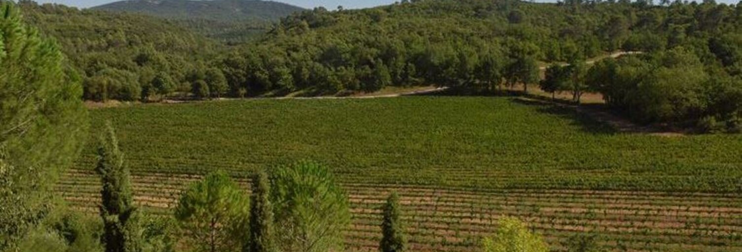 Maison 20 Pièces 800 m² à vendre à Saint-Maximin-la-Sainte-Baume (83470)