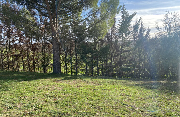 Magnifique propriété à CARAMAN — photo 4