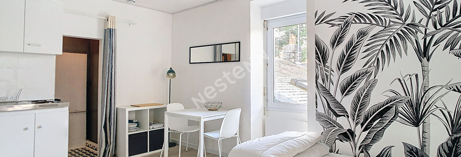 Appartement 1 Pièce 18 m² à louer à Nantes (44100)