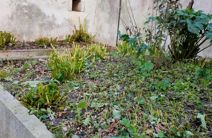 Vente Maison de ville 3 pièces — photo 3