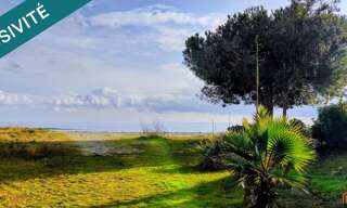 Appartement 1 Pièce 24 m² à vendre à San-Nicolao (20230)