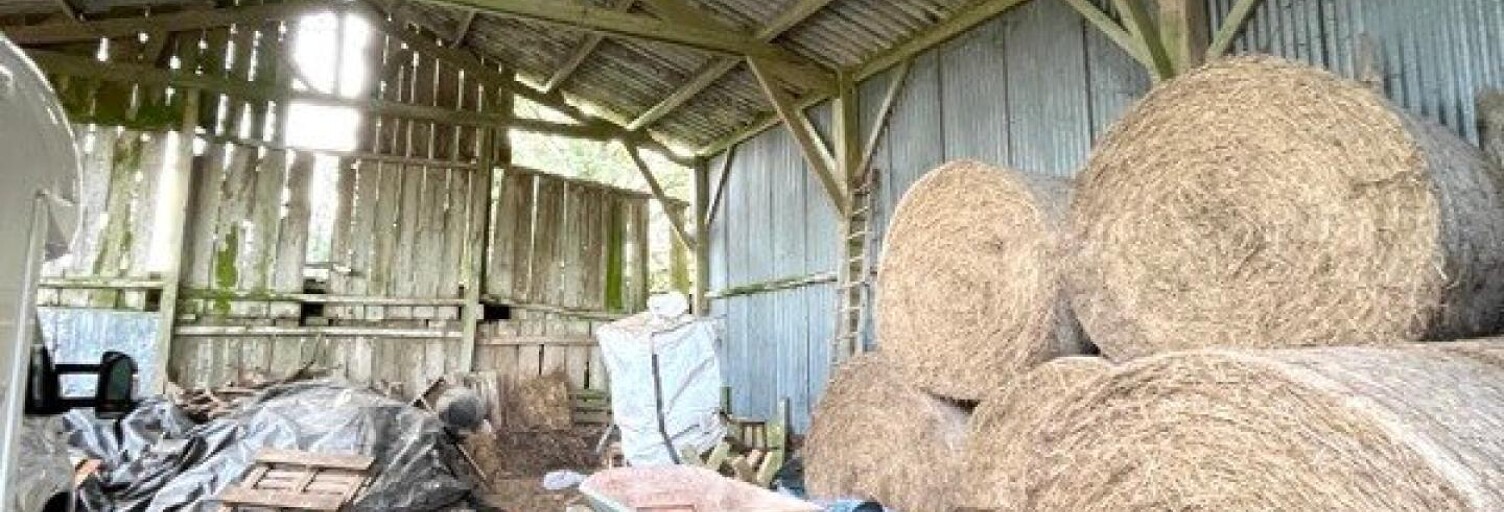 Maison 4 Pièces 90 m² à vendre à Nivillac (56130)