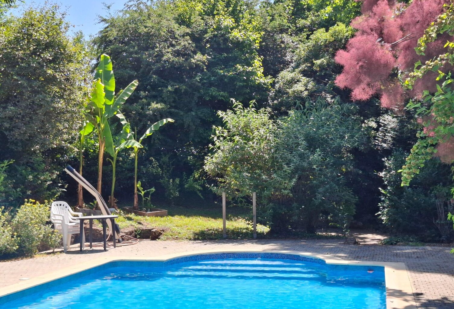 Au coeur d'un superbe environnement , maison avec un gite et piscine ! — photo 1