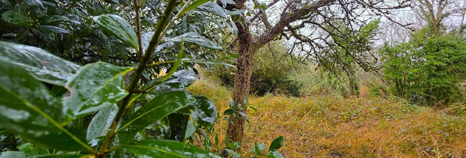 Maison 5 Pièces 90 m² à vendre à La Flèche (72200)